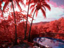 false colour IR
