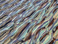 ripple montage