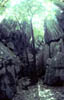 landscape_chillago_rocks_trees_grotto_adjusted_n00220604
